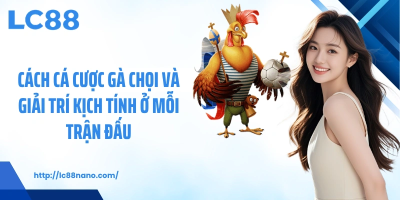 Cách cá cược gà chọi và giải trí kịch tính ở mỗi trận đấu