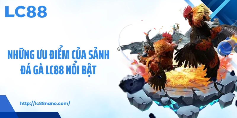 Những ưu điểm của sảnh đá gà LC88 nổi bật