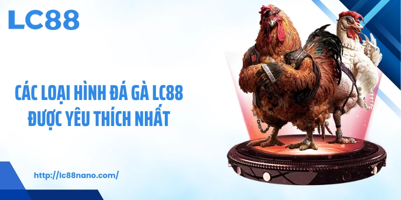 Các loại hình đá gà LC88 được yêu thích nhất