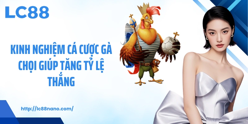Kinh nghiệm cá cược gà chọi giúp tăng tỷ lệ thắng