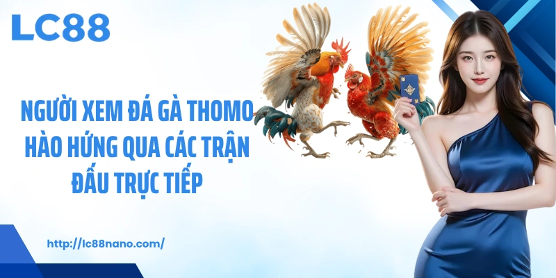 Người xem đá gà Thomo hào hứng qua các trận đấu trực tiếp